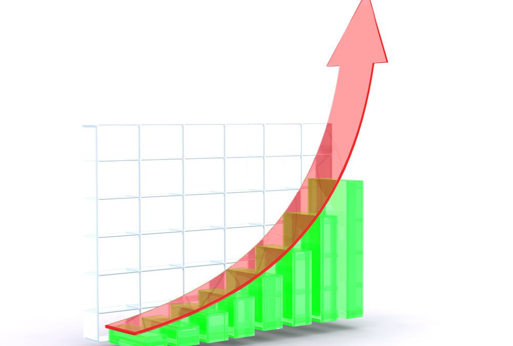 Martial Arts Growth